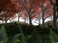 Galerie autumnforest.jpg anzeigen.