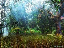 Galerie forest.jpg anzeigen.