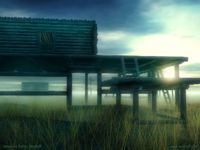 The Swamp - Dmitry Savinoff