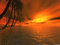 Hawai Evenings - TWS 3D
