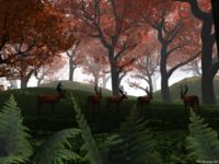 Autumn Forest - TWS 3D