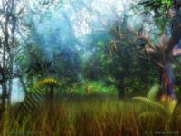 Fairy Forest - Dmitry Savinoff
