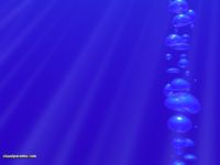 Bubbles - Visualparadox